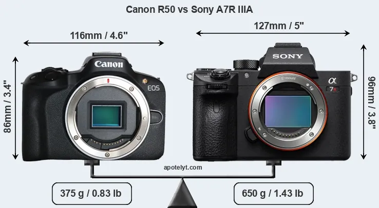 Size Canon R50 vs Sony A7R IIIA