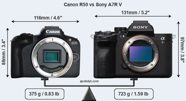 Size Canon R50 vs Sony A7R V