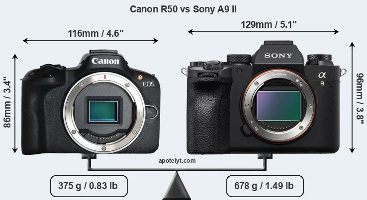 Size Canon R50 vs Sony A9 II