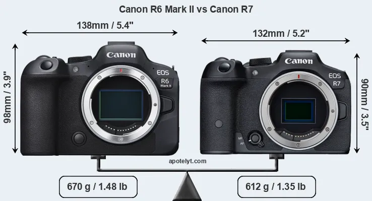 Size Canon R6 Mark II vs Canon R7