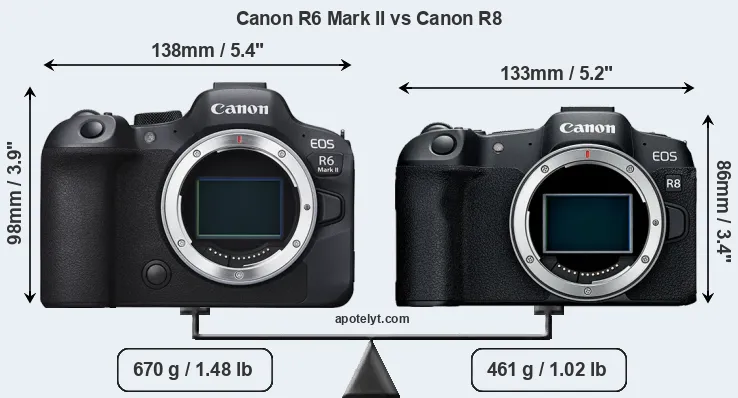 Size Canon R6 Mark II vs Canon R8