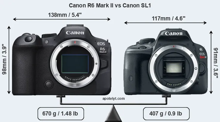 Size Canon R6 Mark II vs Canon SL1