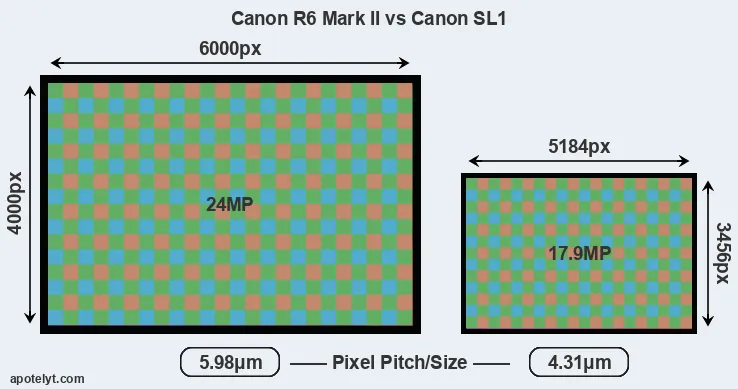 R6 Mark II versus SL1 MP