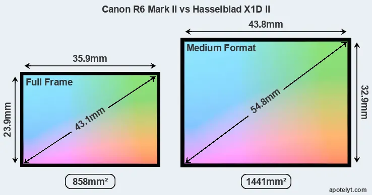 Canon R6 Mark II and Hasselblad X1D II sensor measures