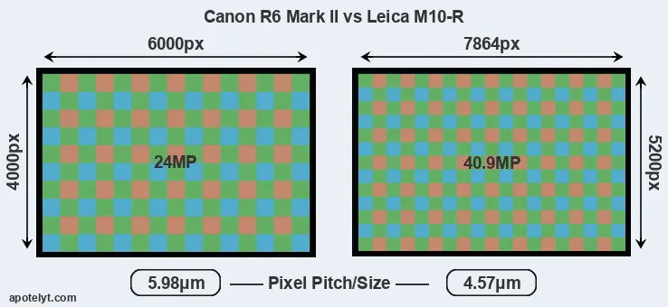 R6 Mark II versus M10-R MP