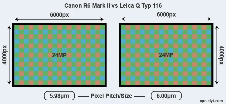 R6 Mark II versus Q Typ 116 MP