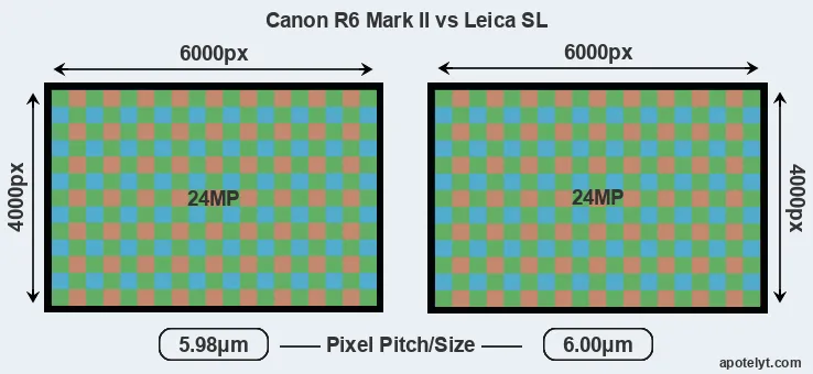 R6 Mark II versus Leica SL MP