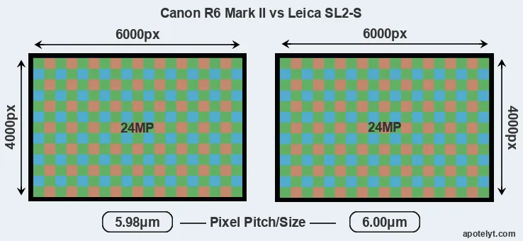 R6 Mark II versus Leica SL2-S MP