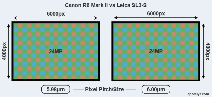 R6 Mark II versus Leica SL3-S MP