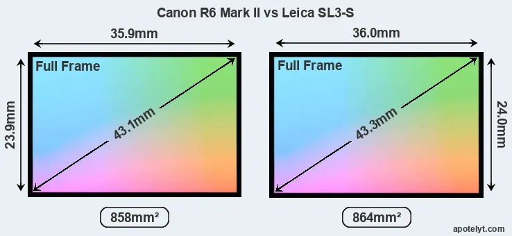 Canon R6 Mark II and Leica SL3-S sensor measures