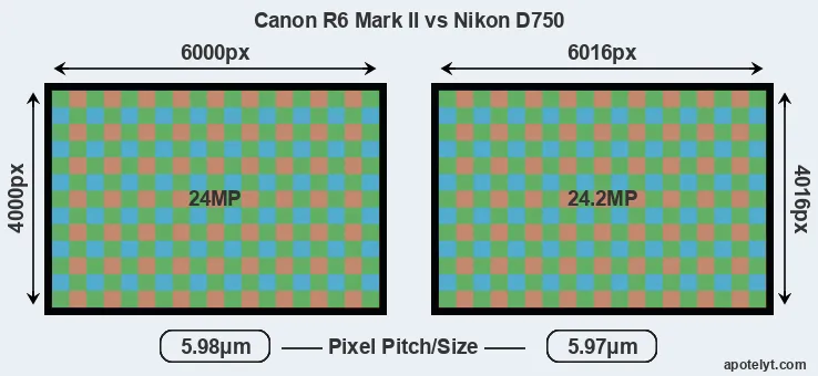 R6 Mark II versus D750 MP
