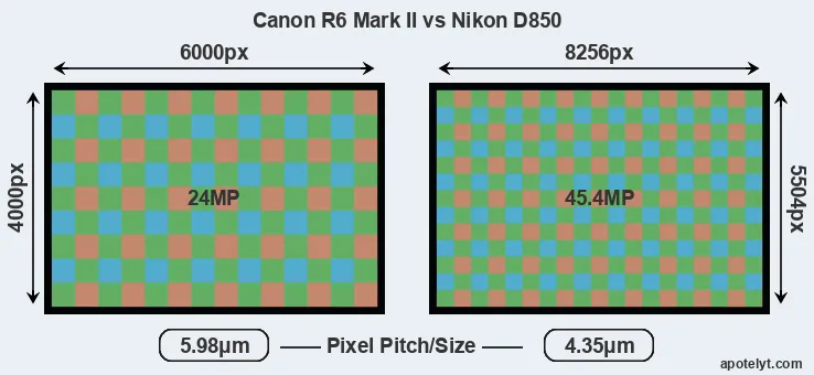 R6 Mark II versus D850 MP