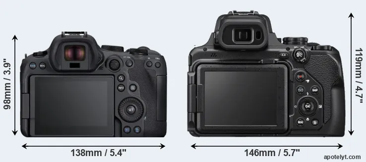 Comparison R6 Mark II or P1000 rear
