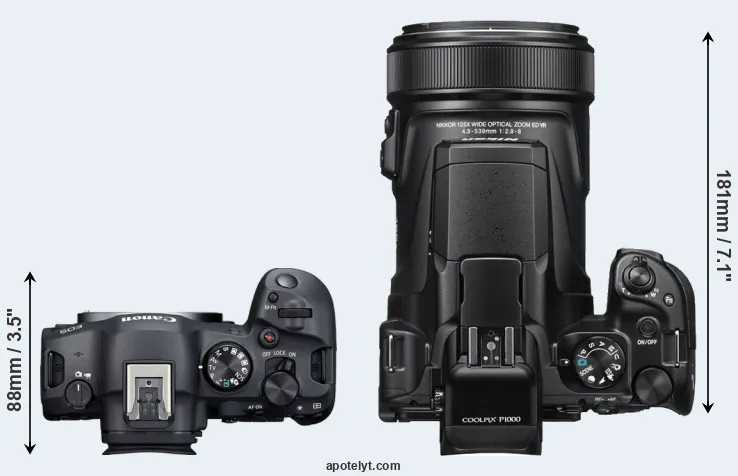 Compare R6 Mark II versus P1000 top