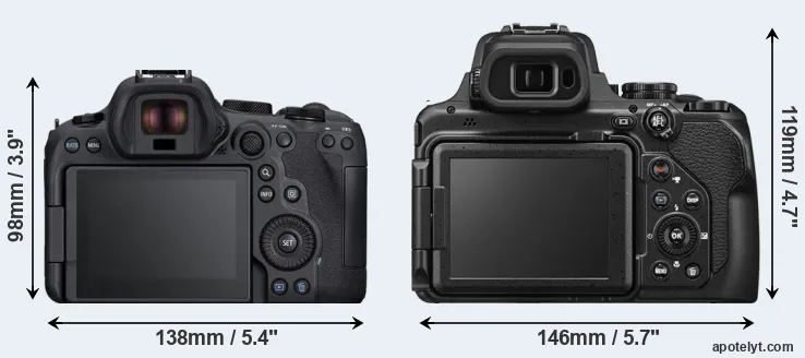 Comparison R6 Mark II or P1100 rear