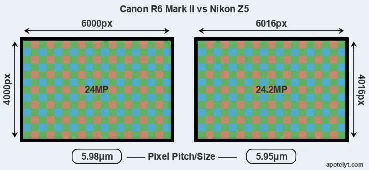 R6 Mark II versus Z5 MP