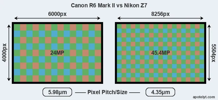 R6 Mark II versus Z7 MP