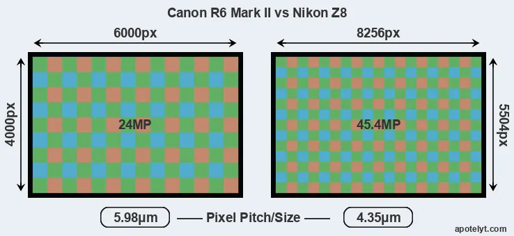 R6 Mark II versus Z8 MP