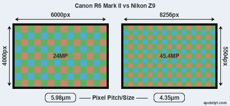 R6 Mark II versus Z9 MP