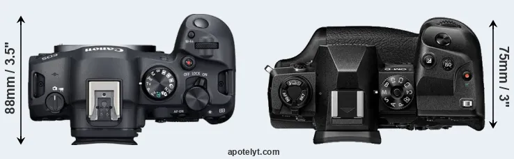 Compare R6 Mark II versus E-M1X top