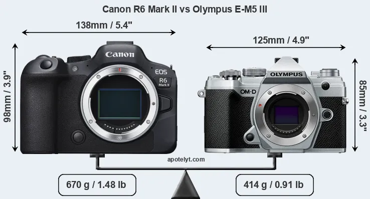 Size Canon R6 Mark II vs Olympus E-M5 III