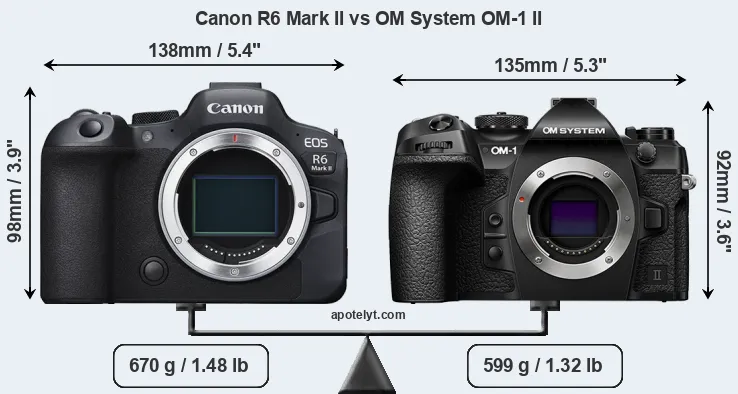 Size Canon R6 Mark II vs OM System OM-1 II