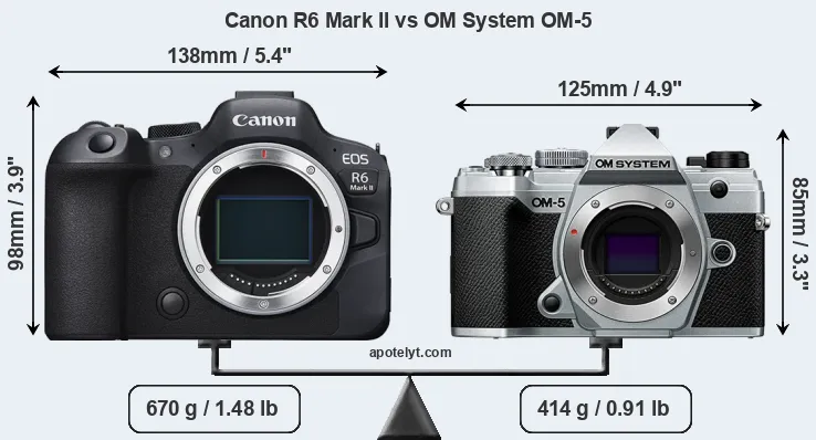 Size Canon R6 Mark II vs OM System OM-5