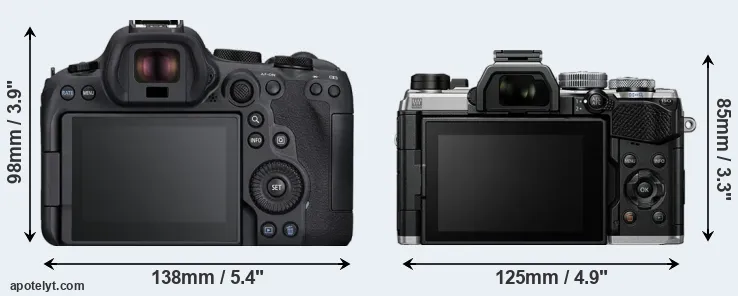 Comparison R6 Mark II or OM-5 rear