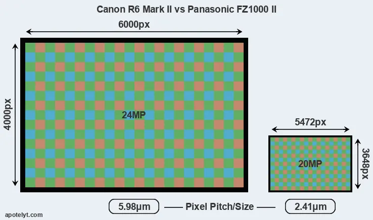 R6 Mark II versus FZ1000 II MP