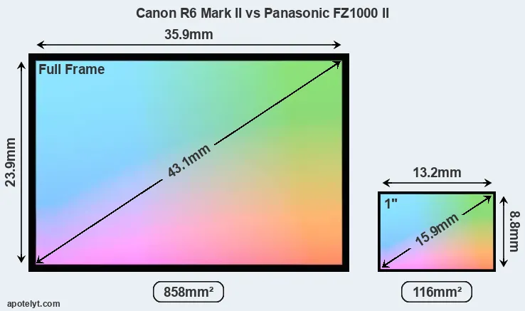 Canon R6 Mark II and Panasonic FZ1000 II sensor measures