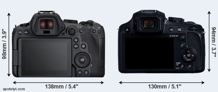 Comparison R6 Mark II or FZ82D rear