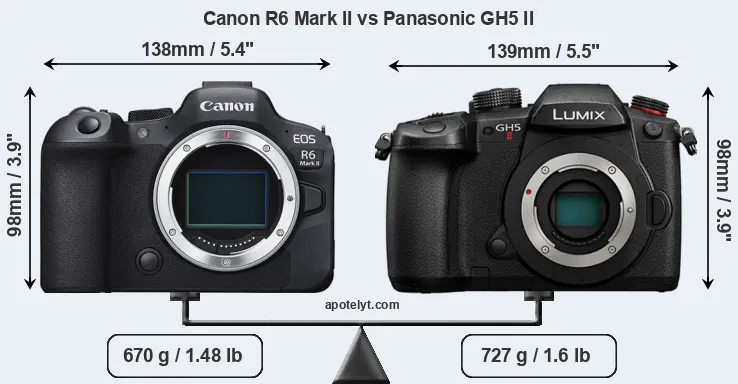 Size Canon R6 Mark II vs Panasonic GH5 II
