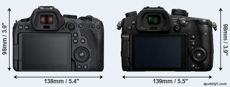 Comparison R6 Mark II or GH5 rear