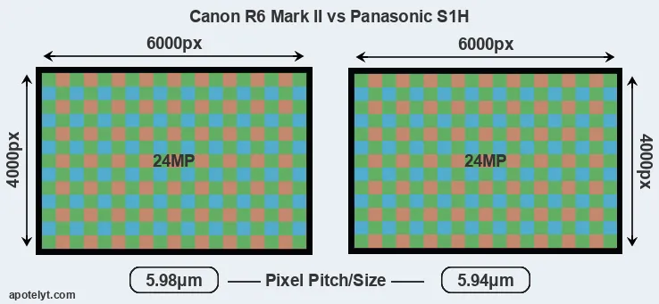 R6 Mark II versus S1H MP