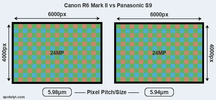 R6 Mark II versus S9 MP