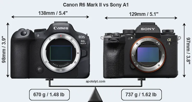 Size Canon R6 Mark II vs Sony A1