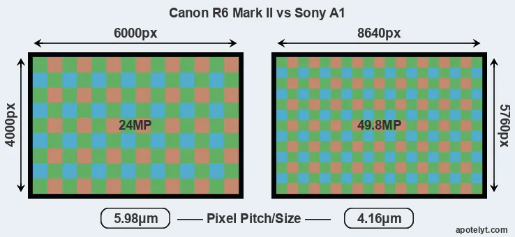 R6 Mark II versus A1 MP