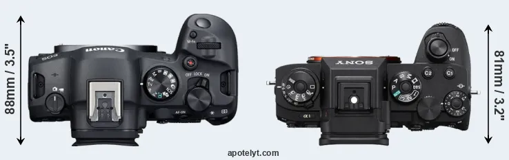 Compare R6 Mark II versus A1 top