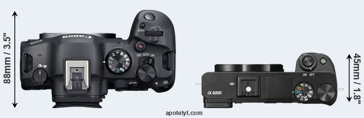 Compare R6 Mark II versus A6000 top