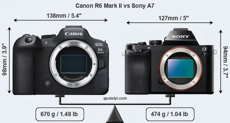 Size Canon R6 Mark II vs Sony A7