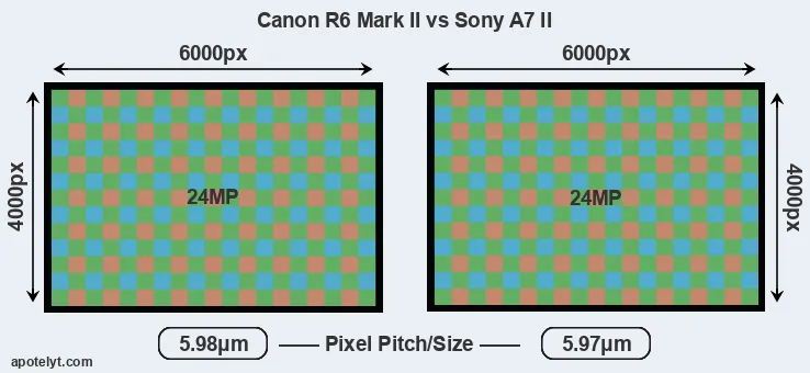 R6 Mark II versus A7 II MP