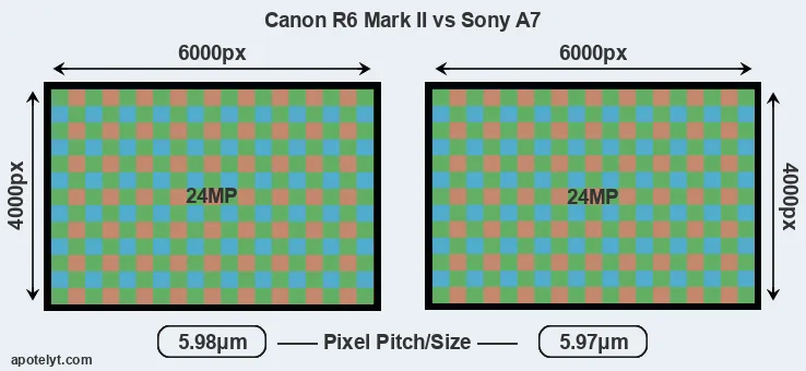 R6 Mark II versus A7 MP