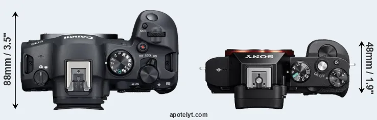 Compare R6 Mark II versus A7 top