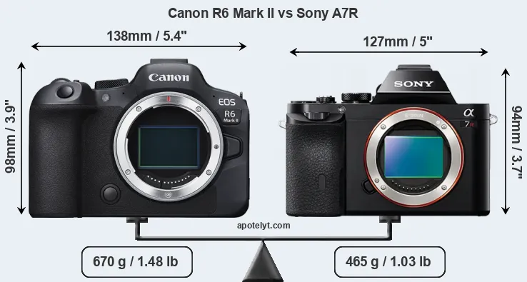 Size Canon R6 Mark II vs Sony A7R
