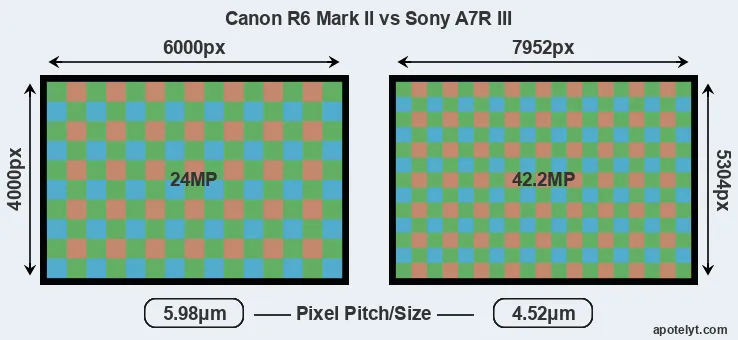 R6 Mark II versus A7R III MP
