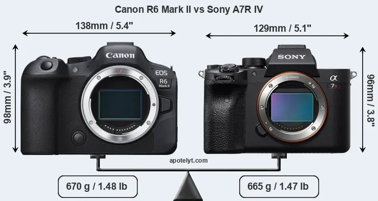 Size Canon R6 Mark II vs Sony A7R IV