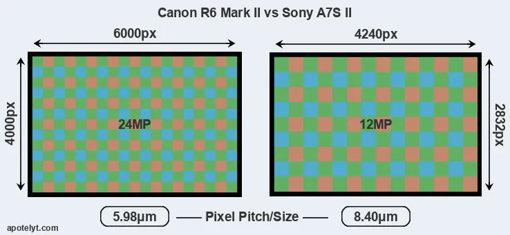 R6 Mark II versus A7S II MP