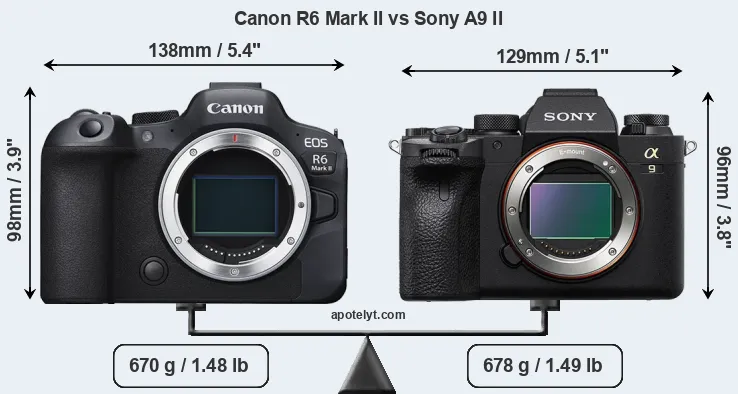 Size Canon R6 Mark II vs Sony A9 II