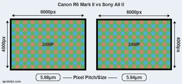 R6 Mark II versus A9 II MP