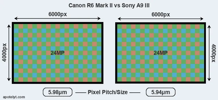 R6 Mark II versus A9 III MP